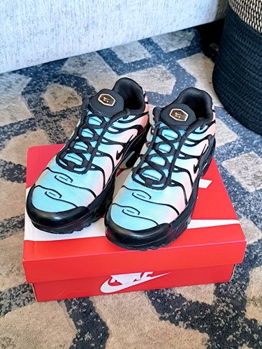 Nike air max plus south - air,