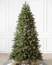 Balsam Hill Woodland Spruce Trees 6 FT LIT RRP £599