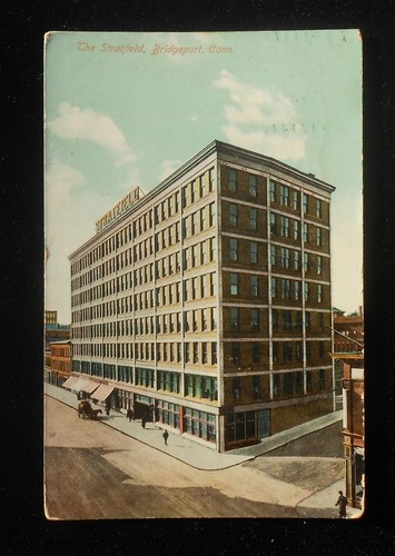 1911 the stratfield horse - the,