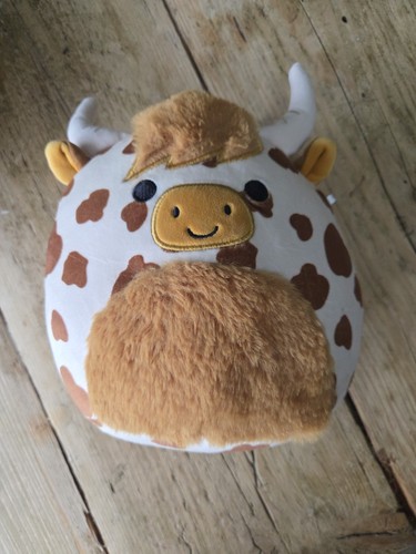 Squishmallows alonzo - –,