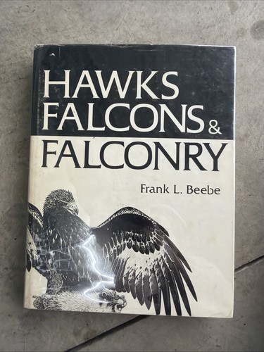 Hawks falcons and falconry - falcons,