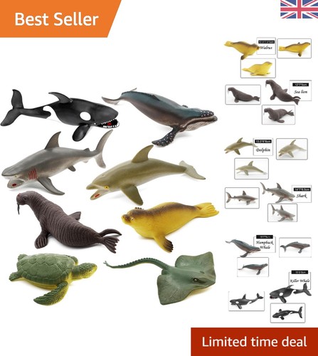 Kids ocean exploration toy - ocean, set