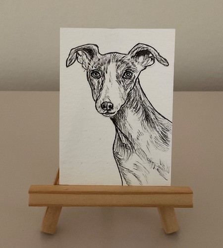 Aceo pen and - ink, drawing