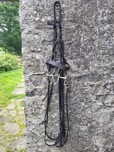 Double bridle full - double,