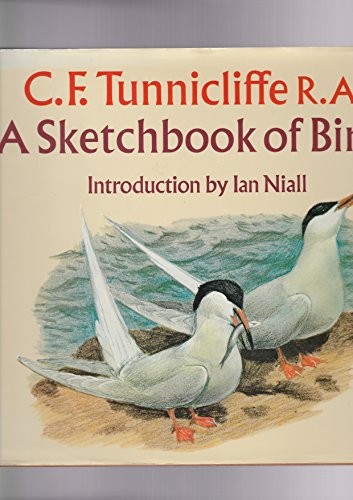 Sketchbook birds f - birds,