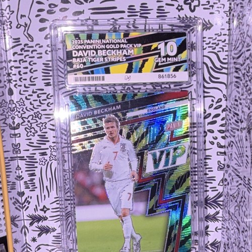 Panini gold pack vip 2025 - gold,