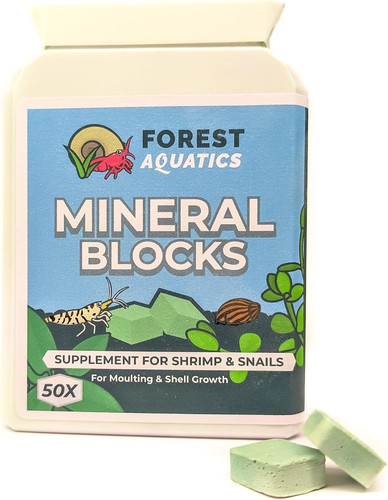 Calcium mineral block - x,