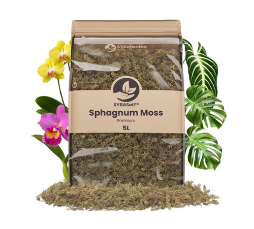 Bundle sybotanica - 4,