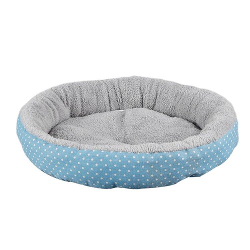 Small dog sleeping - dog, bed