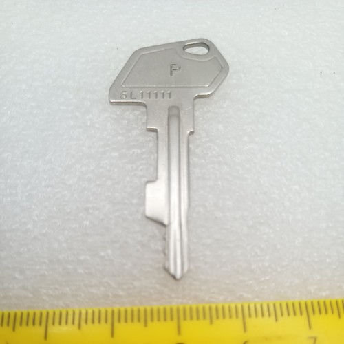 Key program 11111 sam4s - program,