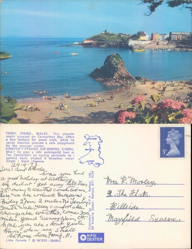 Harbour beach with - boats, and