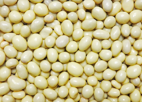 Yogurt coated honeycomb - yogurt, –