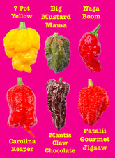 Worlds HOTTEST Chilli - 6