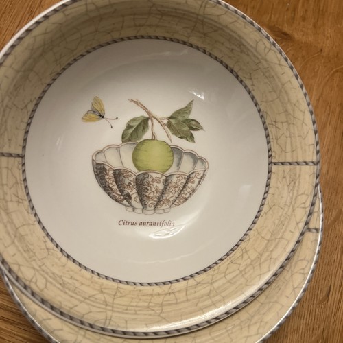 Wedgwood sarah garden - wedgwood, "sarah's