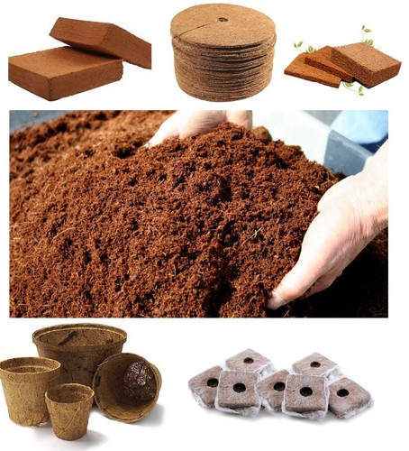 Coco coir bricks pots coconut - coco,