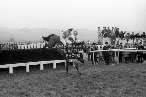 Charter party 1988 - gold, cup