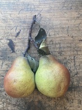 VTG Penkridge Ceramics