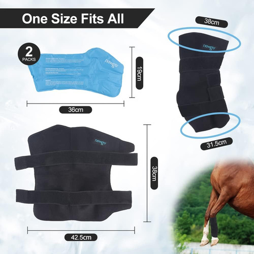 Horse ice pack cooling - ice,