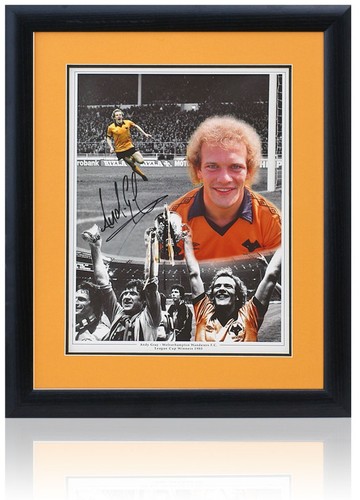 Andy gray wolverhampton - andy,