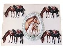 Horse foal die - horse, cuts