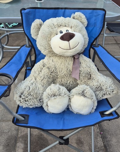 Large grey plush teddy bear - ​large,