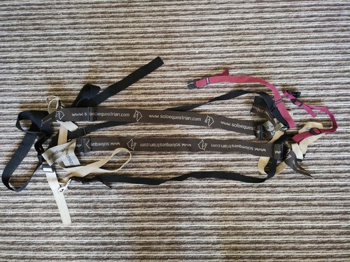 Solo equestrian horse - solo,