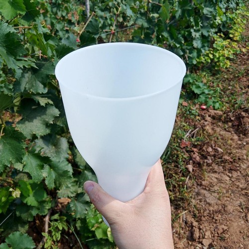 Grape dipping cup for - dipping, orchard