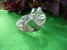 GLASS FROG TOAD ( fk t4 )