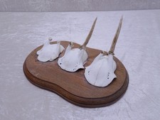 Kdasgv deer antler horns - 3x,