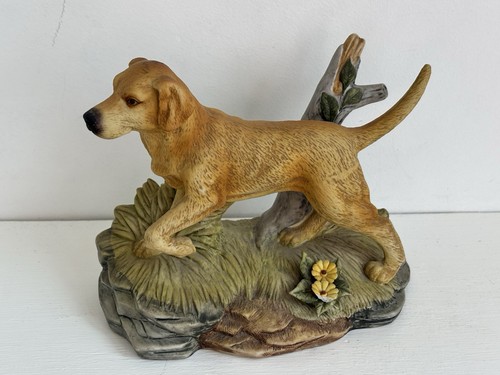Kowa golden labrador dog - kowa,