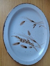 Midwinter Stonehenge Wild Oats