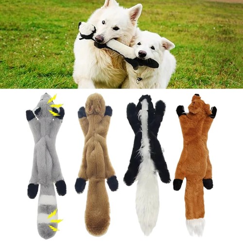 Stuffing free squeaky - squeaky, dog