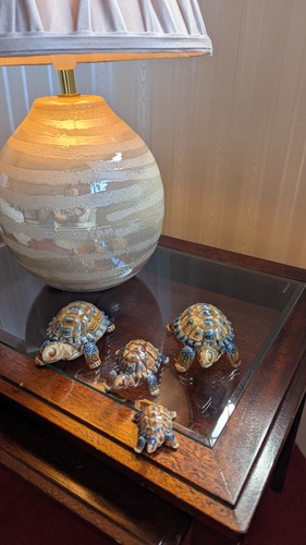 Vintage wade tortoise family - vintage,