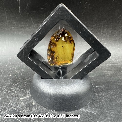 Genuine cretaceous amber - cretaceous,