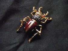 Beetle  Insect Brooch Pin