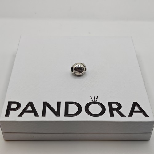 Pandora devoted dog pet - pet, puppy