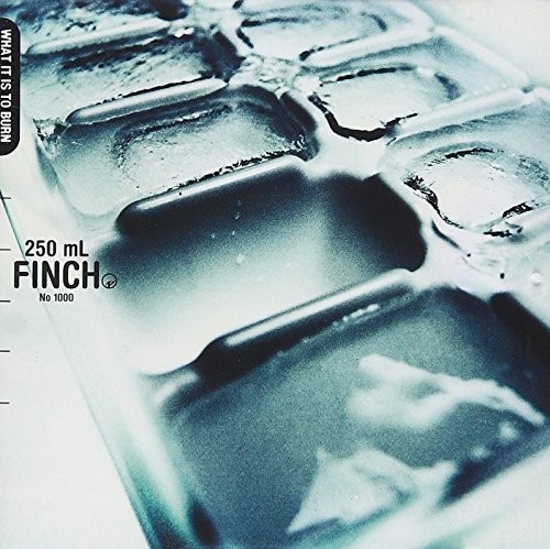 Finch what to burn - it,
