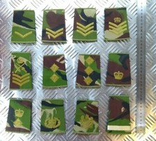 Woodland DPM Camo Rank Slides