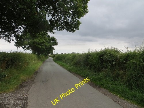 Photo 6x4 senna lane - photo,