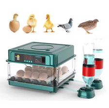 Incubators for hatching eggs - hatching,