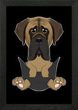 Mastiff Puppy In Pocket Framed