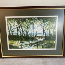 Framed Watercolour Painting By C Rex James Dartmoor Woodland Scene 