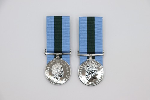 Police service northern - police,