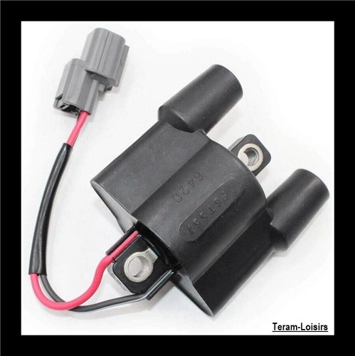 Ignition coil for - ignition,