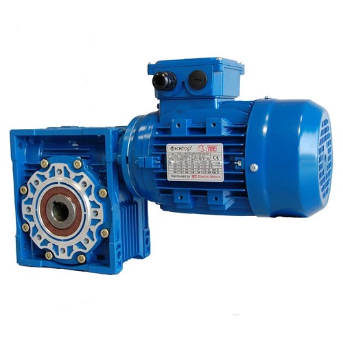 Geared motor worm - geared,