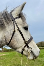 Flat Hunter In-Hand Show Bridle M&M/Native/Shetland/Cob/Show - All Sizes