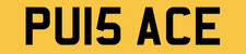 PU NUMBER PLATE PRIVATE
