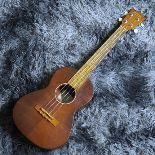 Martin uke tenor hard case - t1,