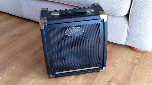 Peavey e20 dual - dual, guitar