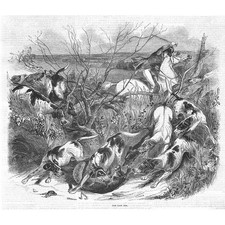 HUNTING The Last Fox - Antique